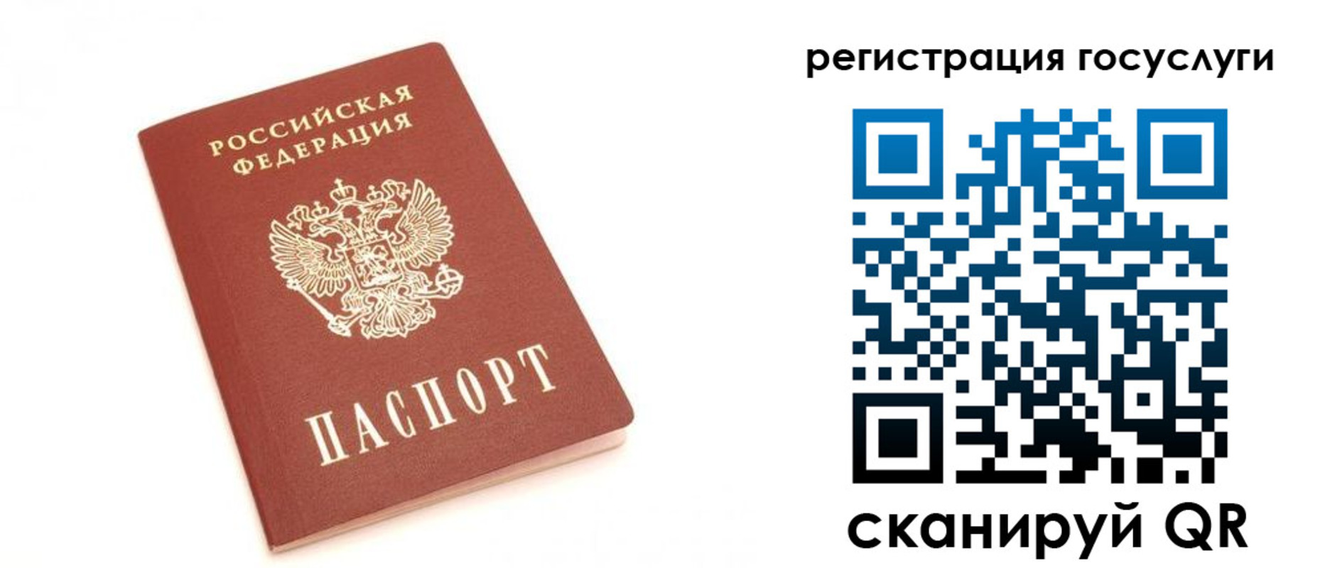 прописка для школы в Ртищево